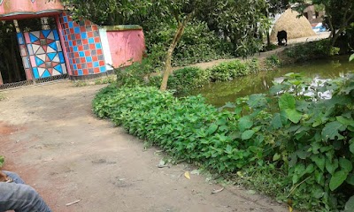 Photos of সাটিরপাড়া জামে মসজিদ