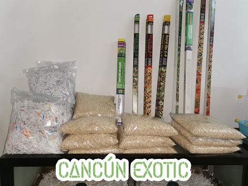 Cancun Exotic - Thumbnail