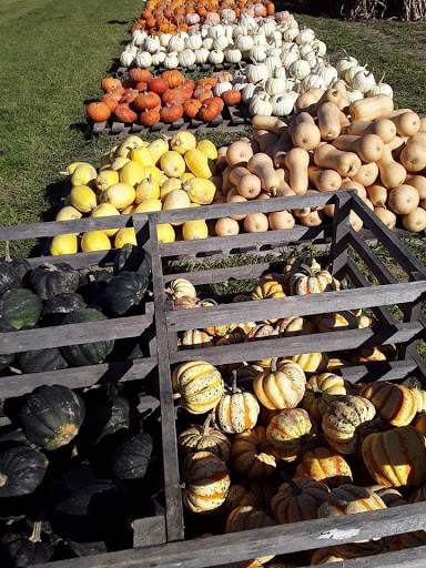 Wildberry Ridge Farm - Thumbnail