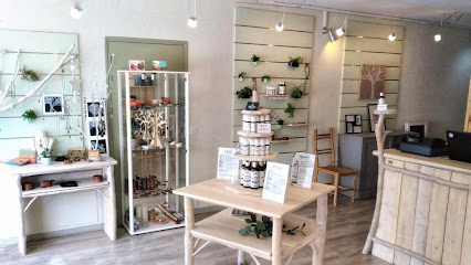 Elfy derm- d'Argoubet Maylis