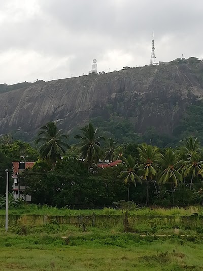 Photos of Hotel Janara