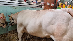 Photo n°5 de La bouch'rit à Cournon-d'Auvergne (Boucherie-charcuterie)