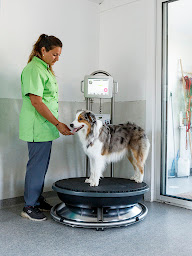 Photo n°11 de Cabinet Vétérinaire Itxasoa à Bidart (Vétérinaire)