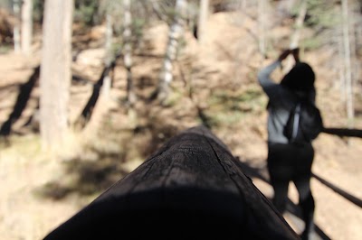 Photos of Hyde Memorial State Park
