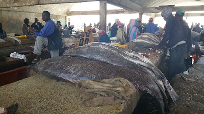 Photos of Balık İşleme Tesisi Nuakşot, Moritanya