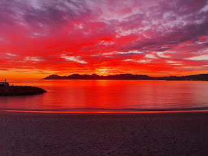 Photo n°10 de Agence immobilière Lépine Immobilier Cannes à Cannes (Agence de location immobilière)