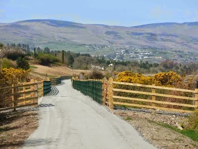 Photos of Visit Carlingford