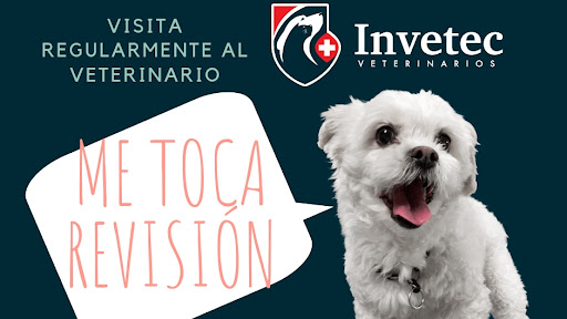 Invetec Veterinarios