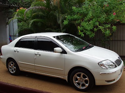 Photos of Asya Tours Sri Lanka
