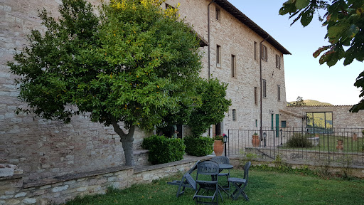 Confraternita del Terz'Ordine Secolare di San Francesco - Assisi - Thumbnail