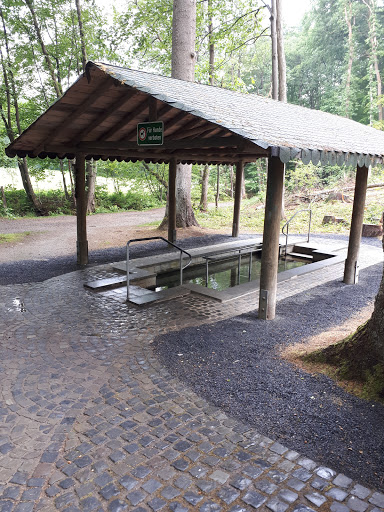 Waldlehrpfad Montabaur - Thumbnail