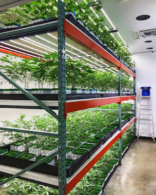 Photo of The Fireweed Factory