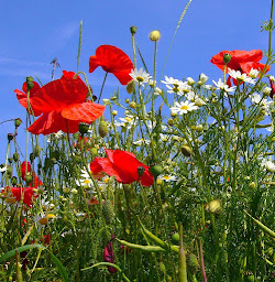 Photo n°10 de Hélène Delebois, Axe Session – Hypnose, Reiki & Thérapies Holistiques Marseille à Marseille (Professeur de yoga)