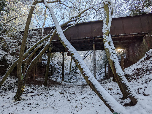 Devils Drop - Visual