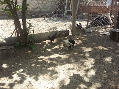 Photos of Okean Ticarət Mağaza
