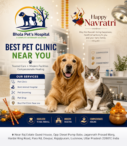 Bhola Pet's Hospital is your trusted best animal hospital near you, offering expert pet care, gro… post image