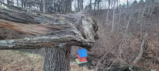 Chalfant Run Watershed - Thumbnail