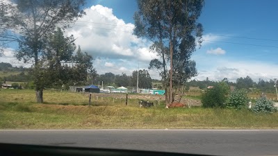 Photos of Hotel Edilcar
