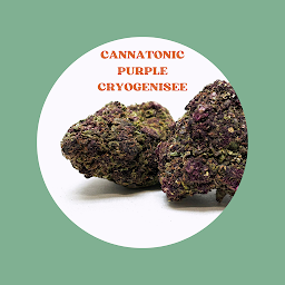 Photo n°10 de Kanab-Store à Montpellier (Magasin)