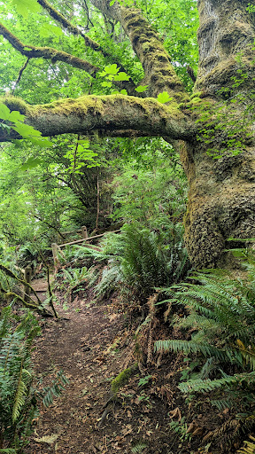 Walker Preserve - Visual
