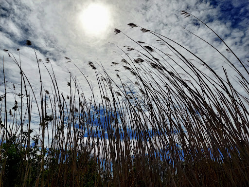 Green's Creek County Park - Thumbnail
