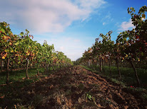 Château Haut Garriga - Vignobles Barreau à Grézillac