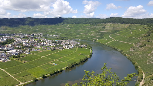Seniorenzentrum AGO Piesport