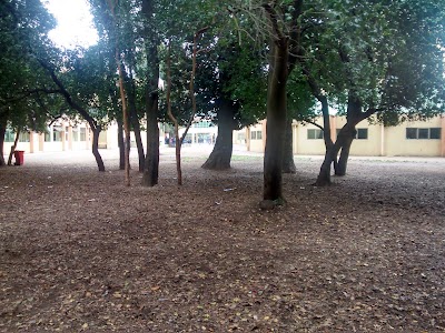 school