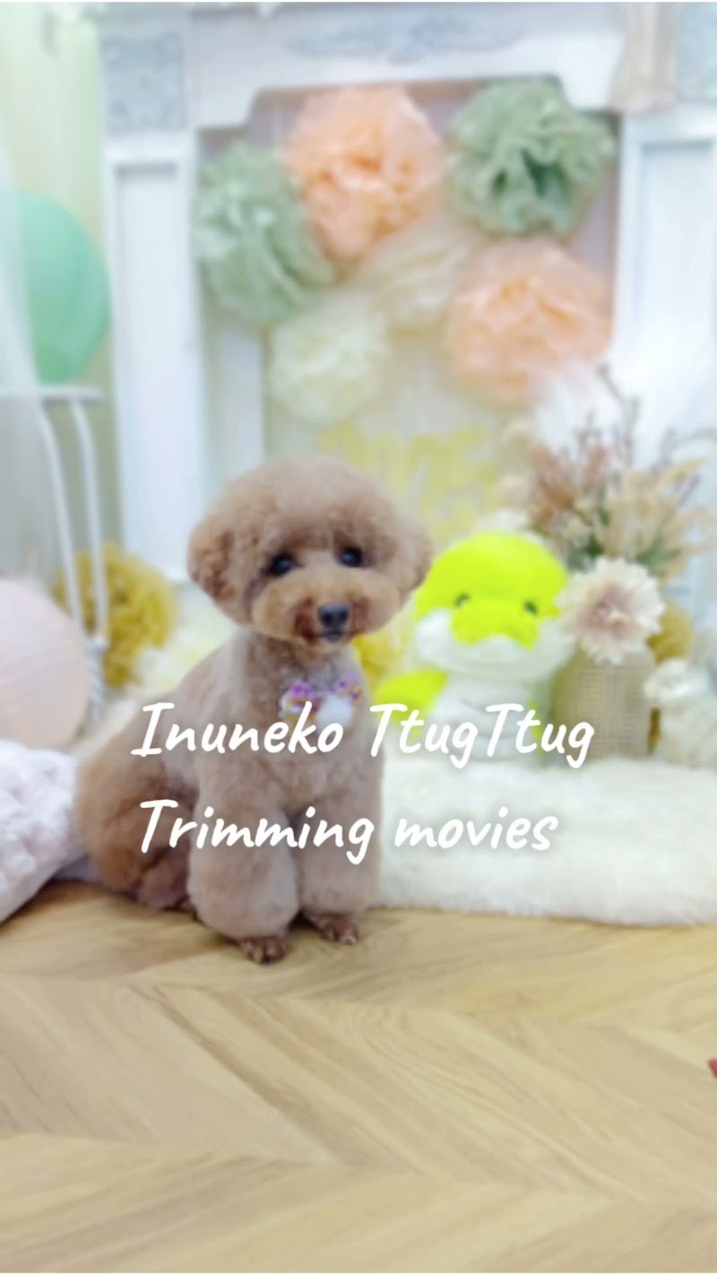 いぬねこサロンTtugTtug(トゥグトゥグ)