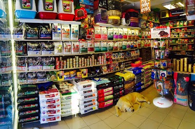 store