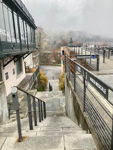 AUDRE MUSTEIKYTE OLMO