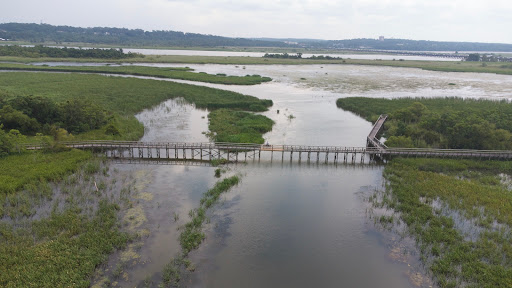 Explore Eastern Shore - Visual