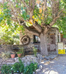 Photo n°26 de Camping U Sognu à Corte (Camping à la ferme)