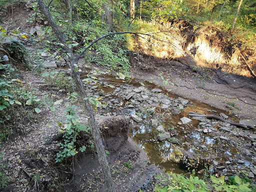 Crane Park - Visual