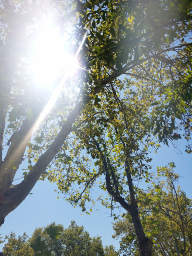 Woodbridge Park - Thumbnail
