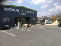 Expert Bassin à Aubigny-au-Bac