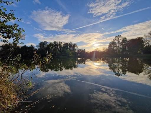 Kleiner Weiher Riedstadt Logo