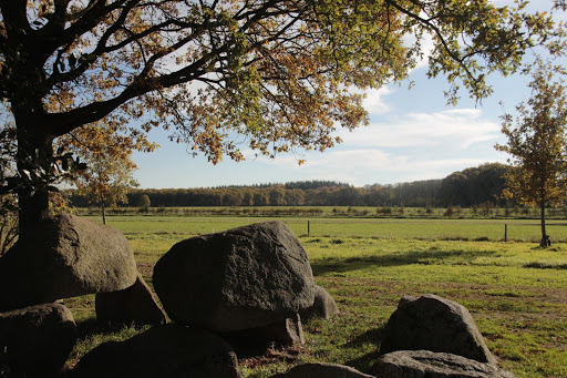 Natuurbegraafplaats De Velden - Natuurbegraven in Drenthe - Thumbnail