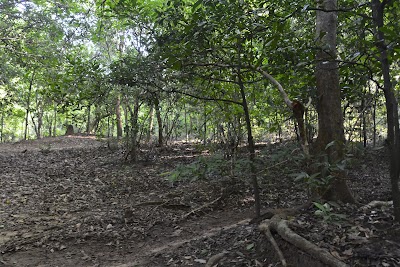 Photos of Reenagala Camp Site