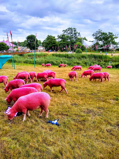 Latitude Festival - Thumbnail