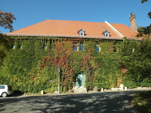 Stadtmuseum Camburg - Visual