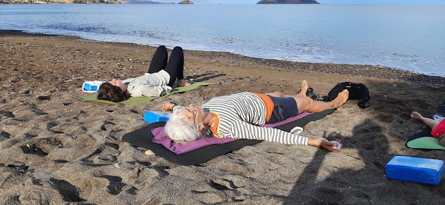 Amagerbrogade 260, 2300 København S