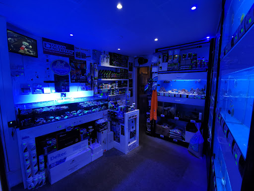 Reef Addiction Marine Aquatics - Thumbnail