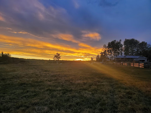 Wildhorse Ranch - Thumbnail