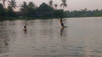 Photos of SITU COGREG