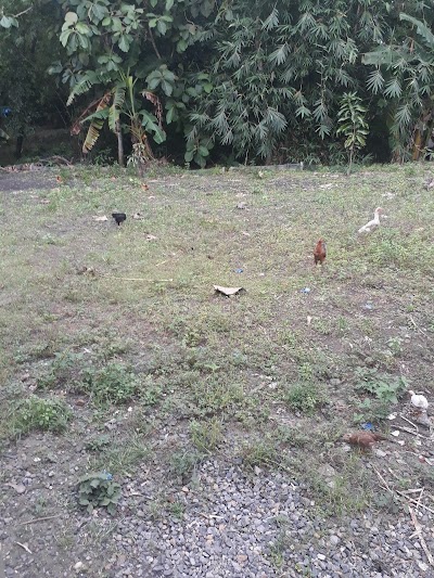 Photos of Pemancingan Tombro Pulo Mangin