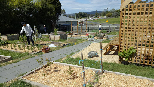 Margate Community Gardens - Thumbnail