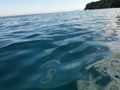 Photos of Ca&ntilde;o Island Biological Reserves