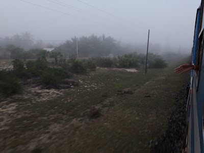 Photos of Sathyam Farm
