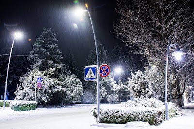 Photos of City Park